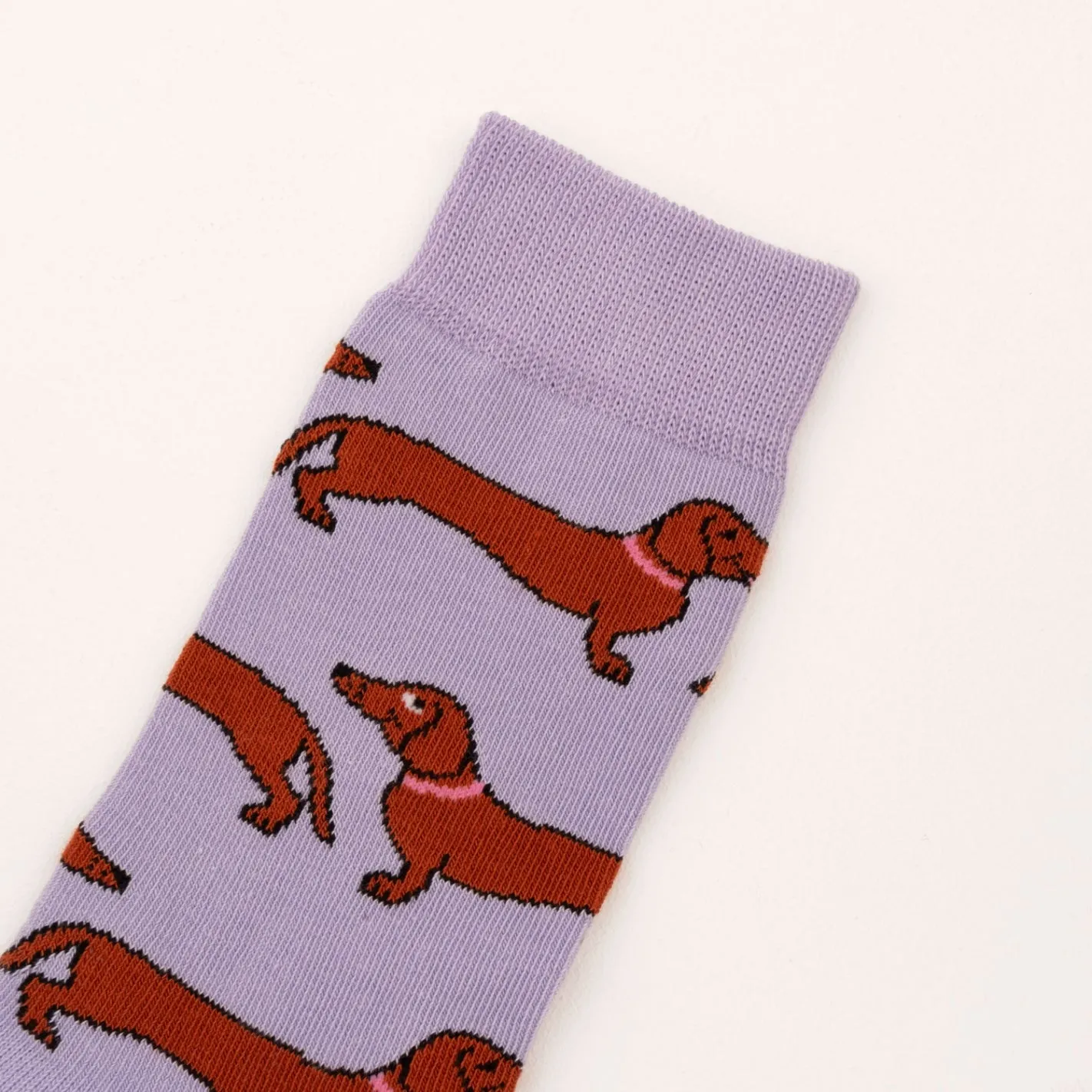 DACHSHUND SOCKS